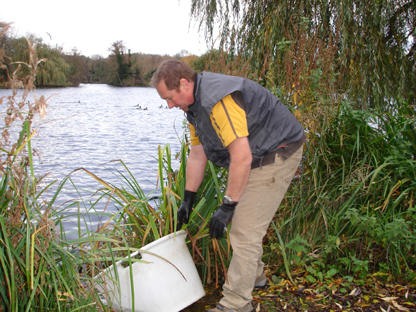 We can safely rescue and relocate fish.