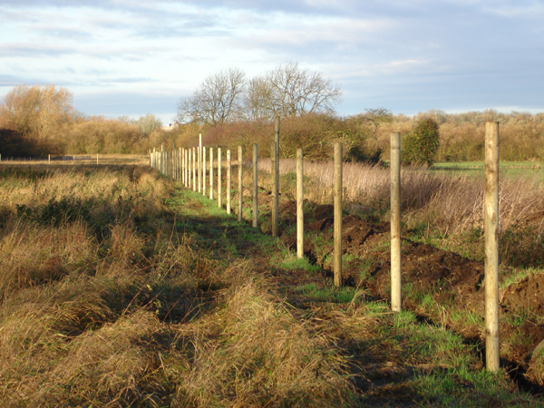 We can advise on the optimum fence-line for otter fencing.