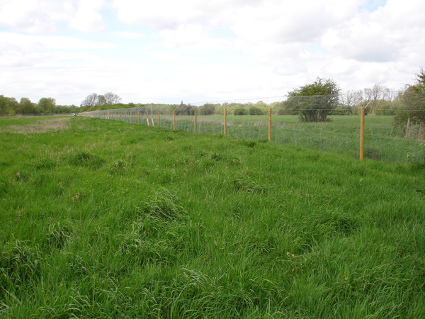 We're happy to tackle large otter fencing projects.