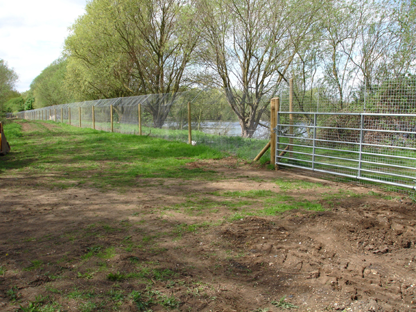Our fencing can intergrate seamlessly with existing structures.