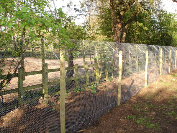 We employ optimised fencing to ensure the protection of valuable species.